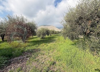 Foto 3 - Casa indipendente Via Petrone
 
142, Piedimonte San Germano - foto 3