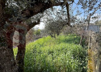 Foto 7 - Casa indipendente Via Petrone
 
142, Piedimonte San Germano - foto 7