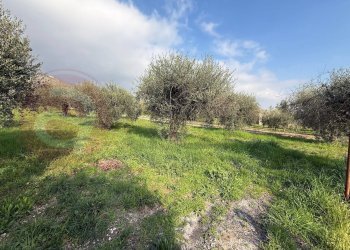 Foto 33 - Casa indipendente Via Petrone
 
142, Piedimonte San Germano - foto 33