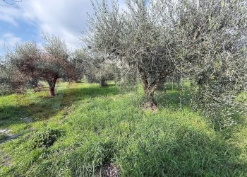 Foto 34 - Casa indipendente Via Petrone
 
142, Piedimonte San Germano - foto 34