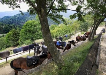 Foto 16 - Independent house Via One
 
1, Marmentino - photo 13