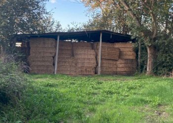 Foto 8 - Independent house Via Mignani, Sant'Elpidio a Mare - photo 8