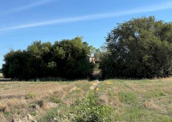 Foto 5 - Independent house Via Mignani
 
636, Sant'Elpidio a Mare - photo 5