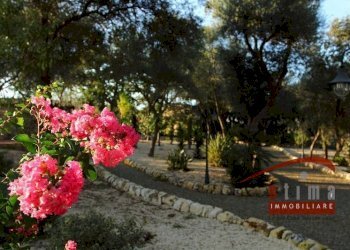 Foto 14 - Villa strada per canicattini, Siracusa - foto 14