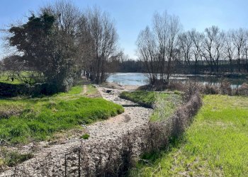 Foto 63 - Villa Via dei Peschi
 
42, Pescantina - photo 63