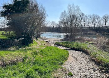 Foto 64 - Villa Via dei Peschi
 
42, Pescantina - photo 64