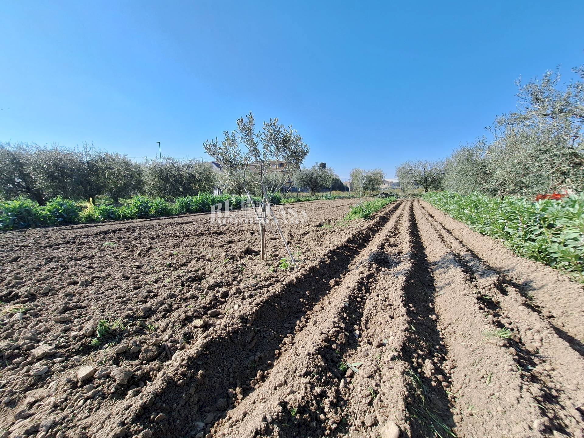 Foto 1 - Terreno agricolo riserva naturale sentina, San Benedetto del Tronto - foto 1