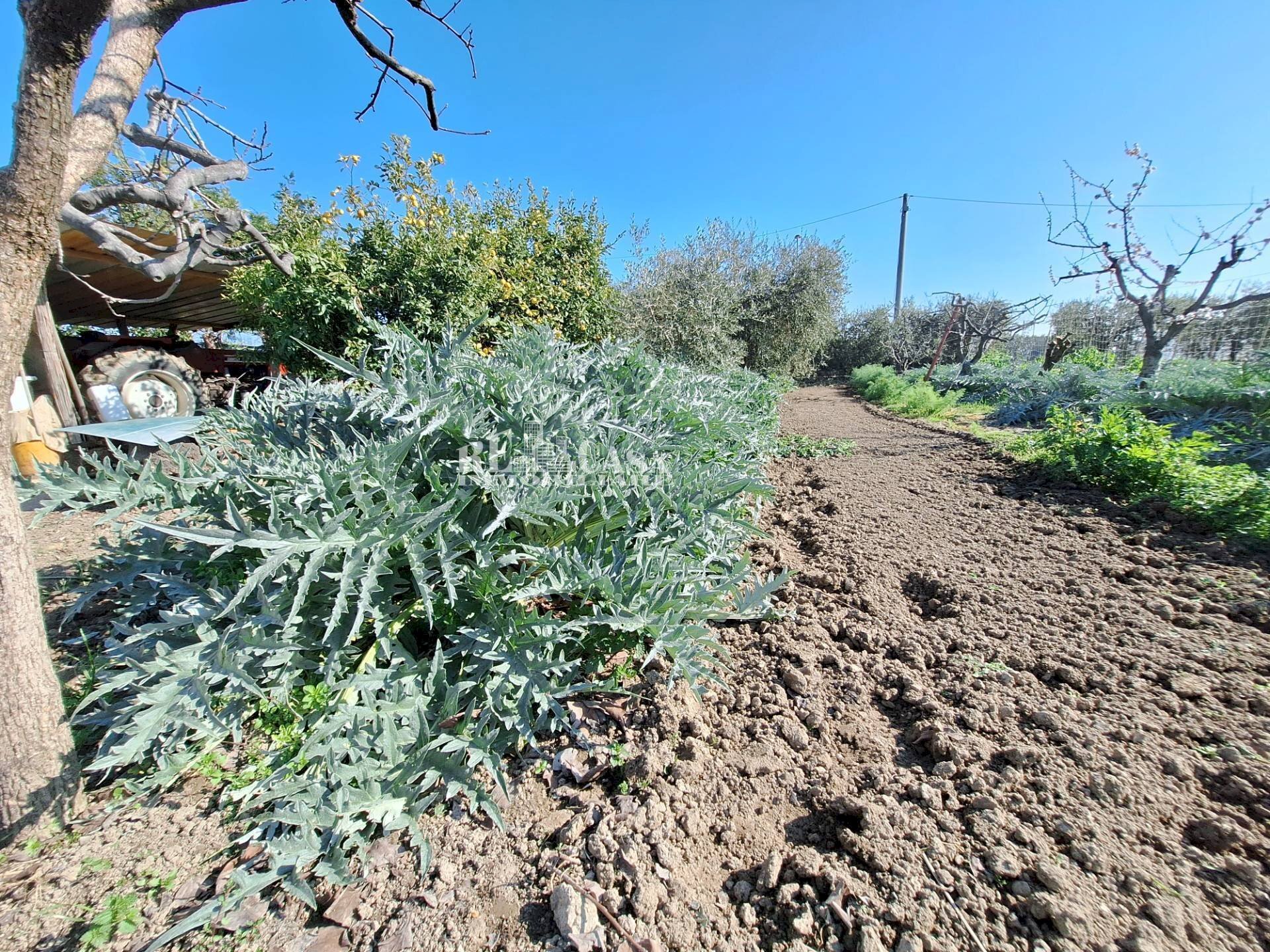 Foto 2 - Terreno agricolo riserva naturale sentina, San Benedetto del Tronto - foto 2