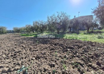 Foto 6 - Terreno agricolo riserva naturale sentina, San Benedetto del Tronto - foto 6