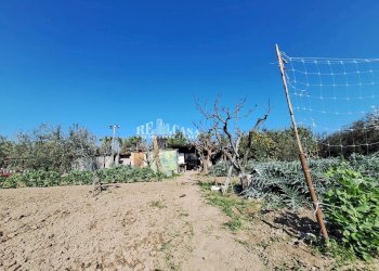 Foto 10 - Terreno agricolo riserva naturale sentina, San Benedetto del Tronto - foto 10