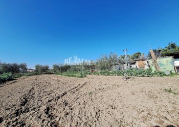 Foto 11 - Terreno agricolo riserva naturale sentina, San Benedetto del Tronto - foto 11