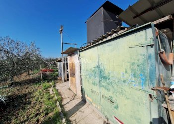 Foto 17 - Terreno agricolo riserva naturale sentina, San Benedetto del Tronto - foto 17