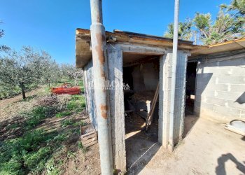 Foto 18 - Terreno agricolo riserva naturale sentina, San Benedetto del Tronto - foto 18