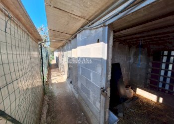 Foto 19 - Terreno agricolo riserva naturale sentina, San Benedetto del Tronto - foto 19