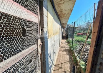 Foto 22 - Terreno agricolo riserva naturale sentina, San Benedetto del Tronto - foto 22