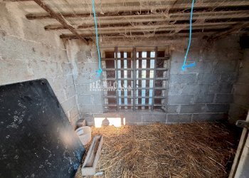 Foto 23 - Terreno agricolo riserva naturale sentina, San Benedetto del Tronto - foto 23