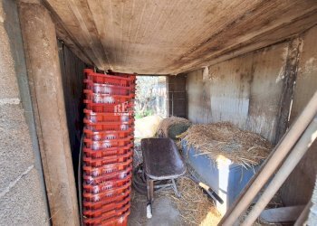 Foto 24 - Terreno agricolo riserva naturale sentina, San Benedetto del Tronto - foto 24