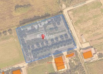 Foto 25 - Terreno agricolo riserva naturale sentina, San Benedetto del Tronto - foto 25