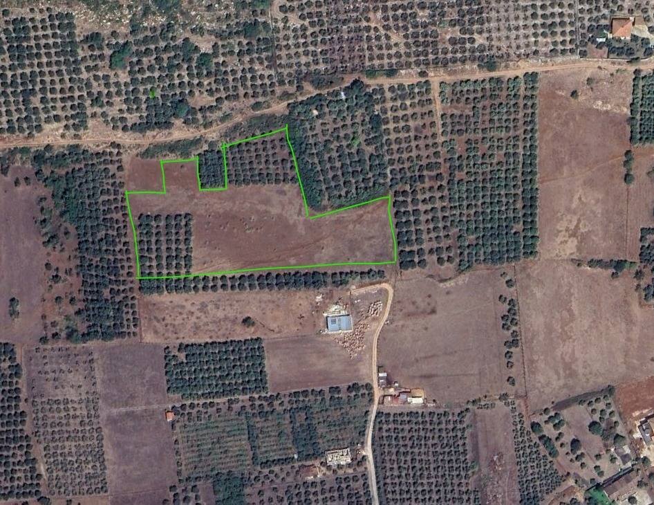 Foto 1 - Terreno agricolo Via Stradone Delle Grotte, Priverno - foto 1