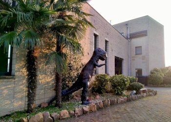 Foto 7 - Locale Commerciale via rossini
 
12, Mornago - foto 7