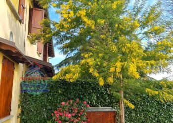 Foto 4 - Casa semi indipendente VIA STELLONI LEVANTE
 
14/4, Calderara di Reno - foto 4