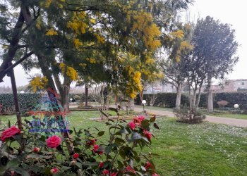 Foto 59 - Casa semi indipendente VIA STELLONI LEVANTE
 
14/4, Calderara di Reno - foto 59