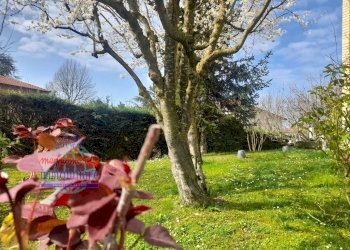 Foto 60 - Villa a Schiera VIA GRAZIA DELEDDA
 
23, Sala Bolognese - foto 58