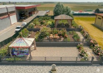 Foto 24 - Trilocale Via Maestra Grande
 
20, Cento - foto 24