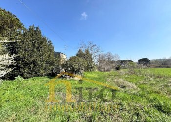 Foto 13 - Casa indipendente Viale Italia
 
150, Collecorvino - foto 13