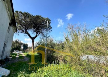 Foto 14 - Casa indipendente Viale Italia
 
150, Collecorvino - foto 14