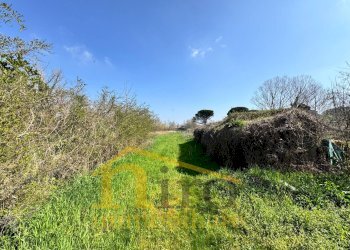 Foto 15 - Casa indipendente Viale Italia
 
150, Collecorvino - foto 15