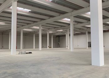 IMMAGINI DI REPERTORIO - Capannone Calderara di Reno - foto 4