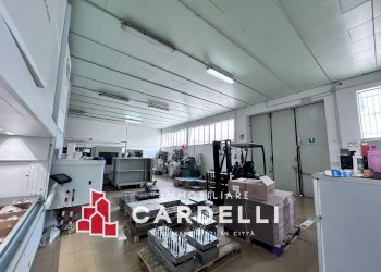 Foto 7 - Capannone Via Maestri del lavoro, Civitanova Marche - foto 7