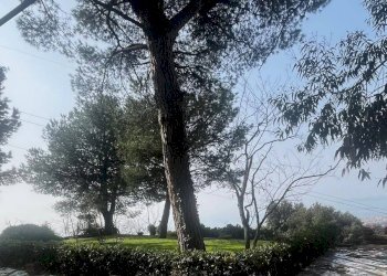 Foto 7 - Apartment via San Vito
 
223, Ercolano - photo 7