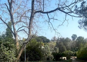 Foto 36 - Apartment via San Vito
 
223, Ercolano - photo 36