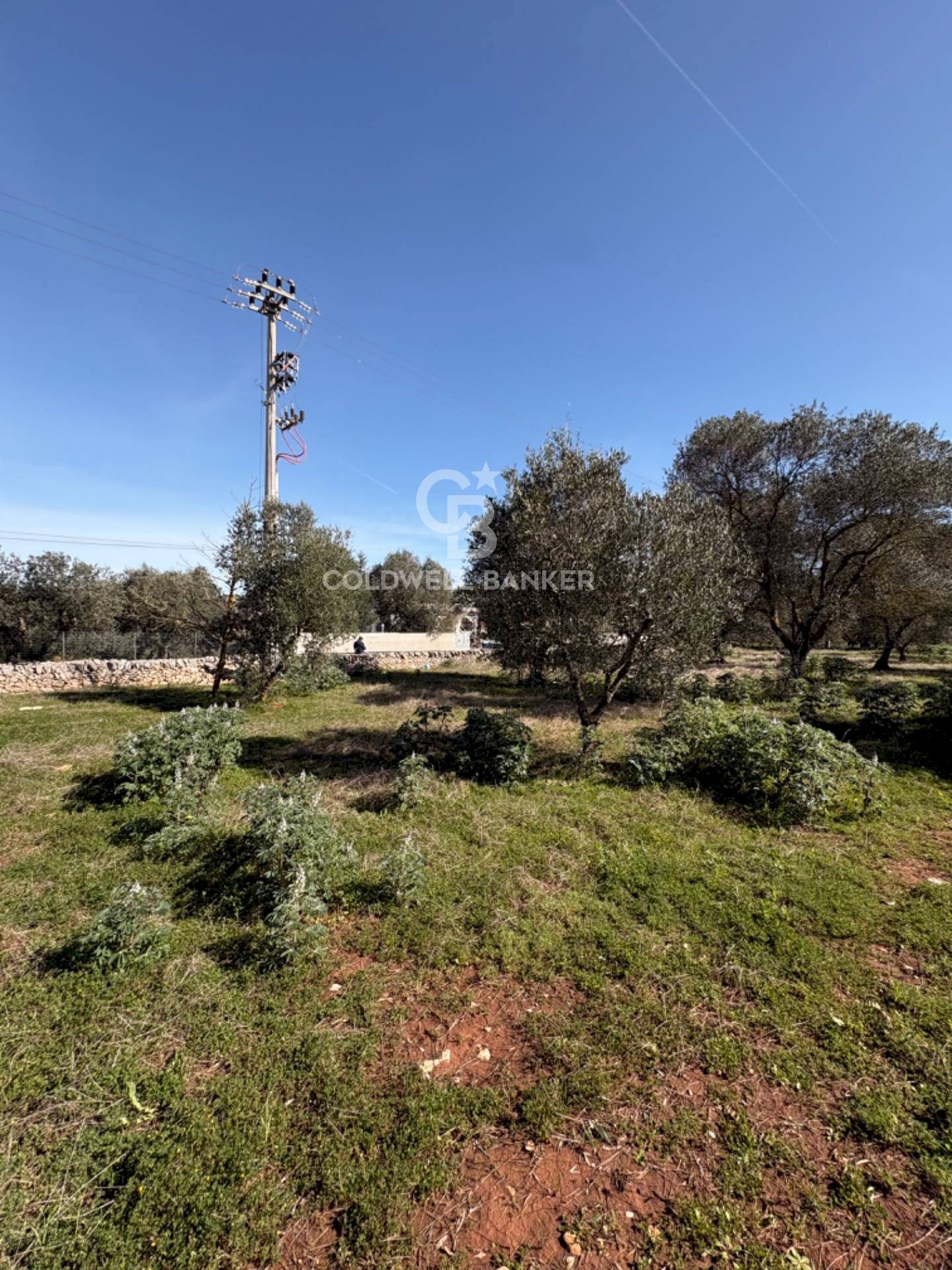Foto 1 - Terreno agricolo contrada montelotorto, Ostuni - foto 1
