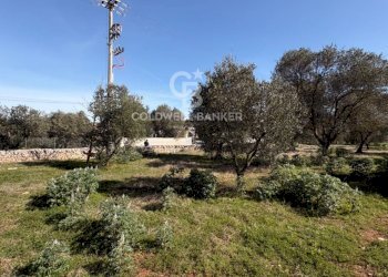 Foto 1 - Terreno agricolo contrada montelotorto, Ostuni - foto 1
