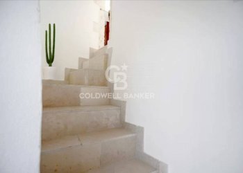 Foto 19 - Casa indipendente Ostuni - foto 19