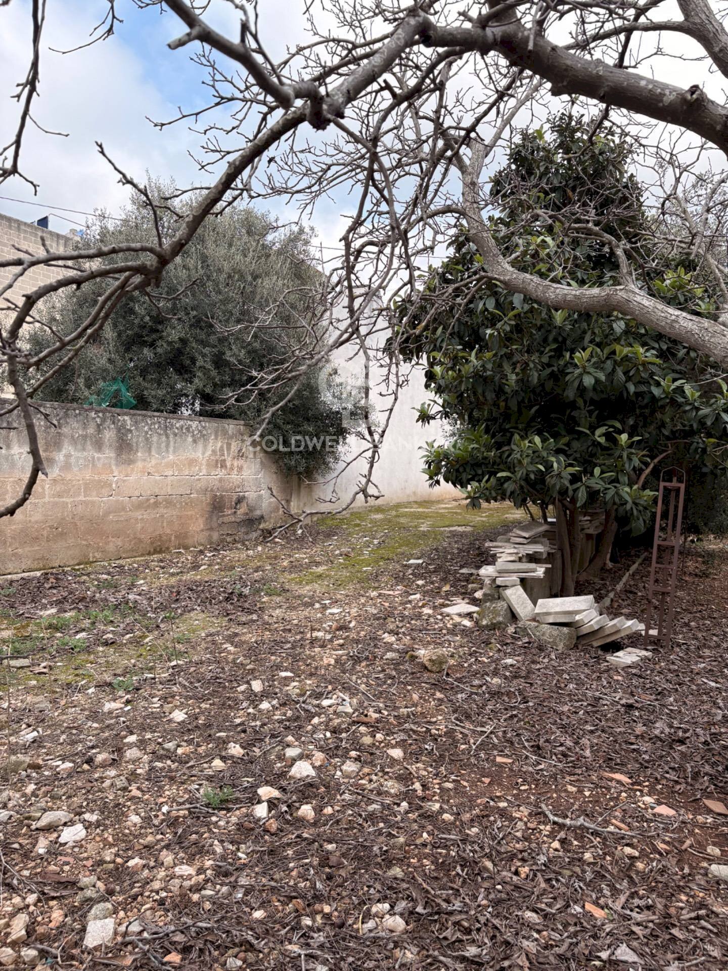 Foto 3 - Building land Viale Foggia
 
snc, Carovigno - photo 3