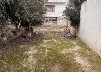 Foto 2 - Building land Viale Foggia
 
snc, Carovigno - photo 2