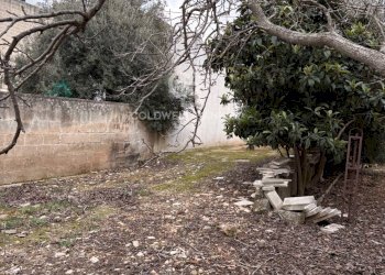 Foto 3 - Building land Viale Foggia
 
snc, Carovigno - photo 3