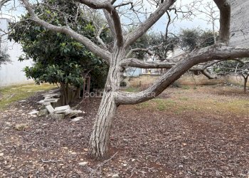 Foto 6 - Building land Viale Foggia
 
snc, Carovigno - photo 6