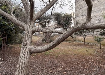 Foto 7 - Building land Viale Foggia
 
snc, Carovigno - photo 7