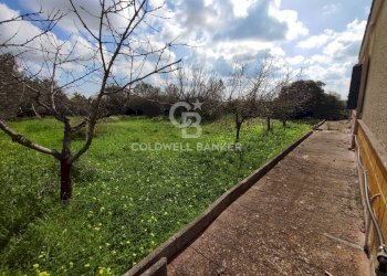 Foto 8 - Villa Via del pero
 
15, Brindisi - photo 8