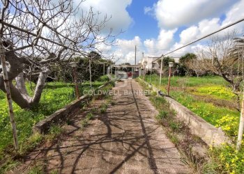 Foto 9 - Villa Via del pero
 
15, Brindisi - photo 9