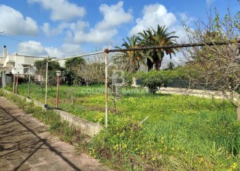 Foto 10 - Villa Via del pero
 
15, Brindisi - photo 10