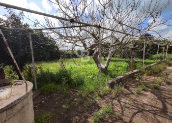 Foto 12 - Villa Via del pero
 
15, Brindisi - photo 12