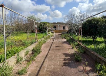 Foto 24 - Villa Via del pero
 
15, Brindisi - photo 24