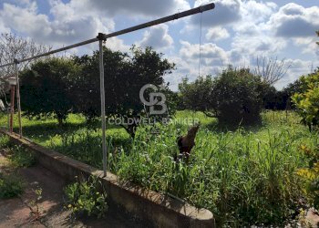 Foto 34 - Villa Via del pero
 
15, Brindisi - photo 34