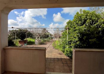 Foto 36 - Villa Via del pero
 
15, Brindisi - photo 36